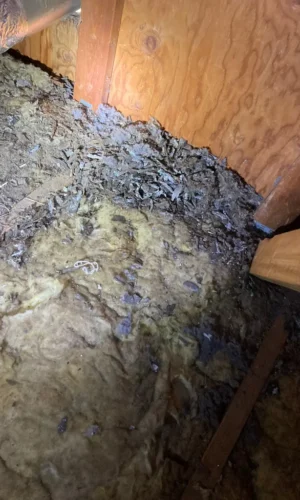dryer vent cleaning 0269