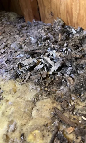 dryer vent cleaning 0270