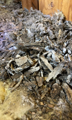 dryer vent cleaning 0271