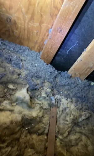 dryer vent cleaning 0274